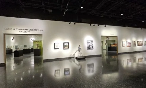 Museum of Arts & Sciences business photo